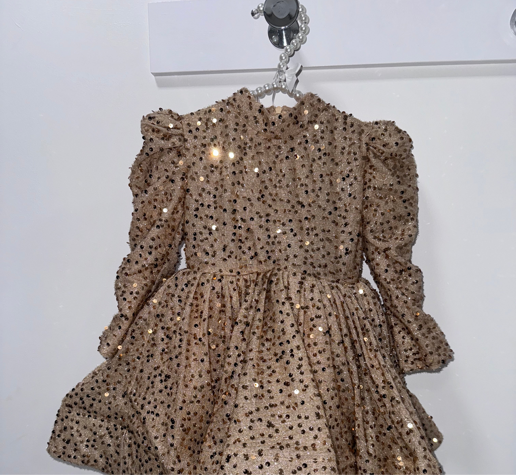 Long sleeve short sequin dress