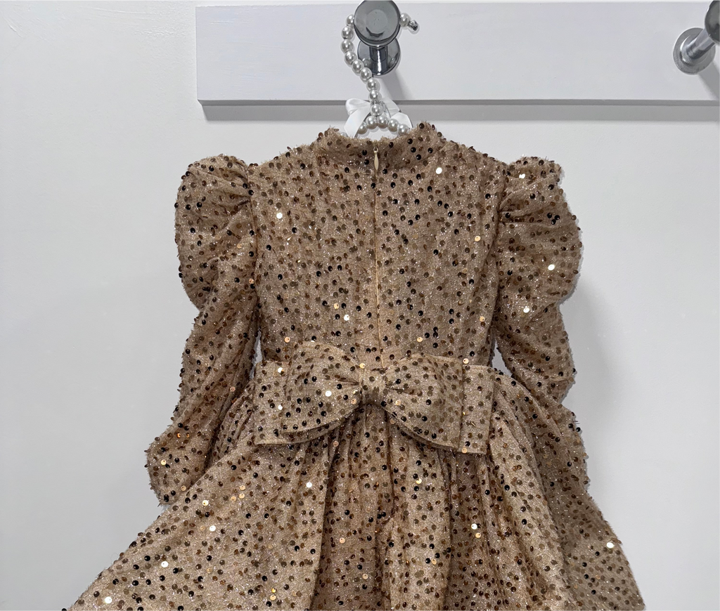Long sleeve short sequin dress